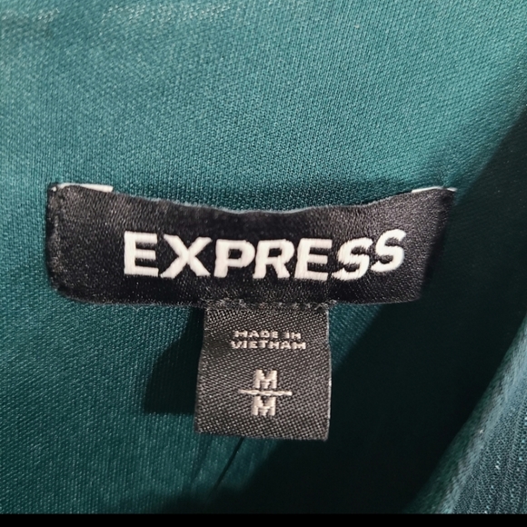 Express  Chiffon Ruffle Long Sleeve Dress Green Shimmer Medium - Picture 3 of 3